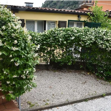 Lognomoelafatina *